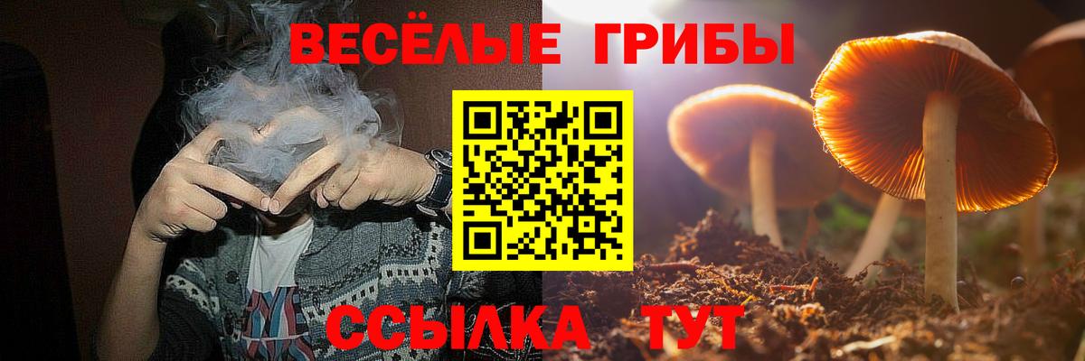 Галлюциногенные грибы мицелий Тейково
